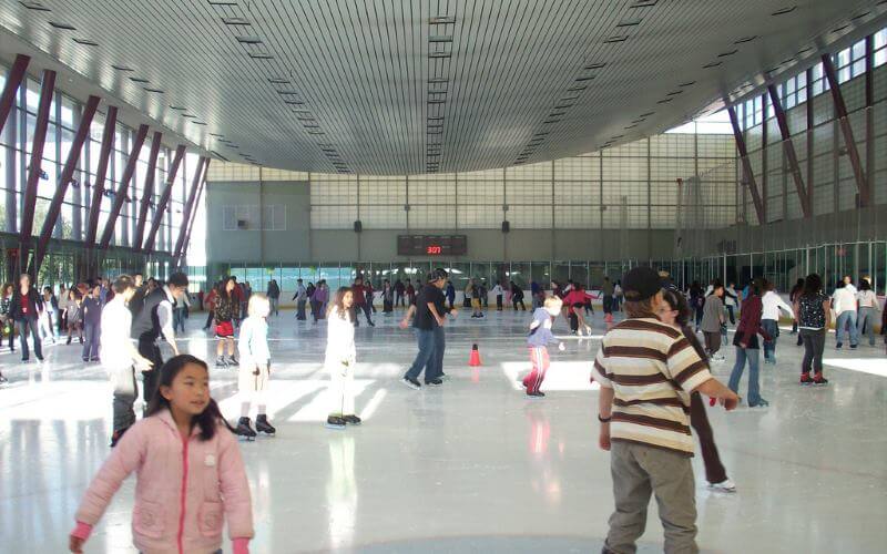 People enjoying the ice hockey