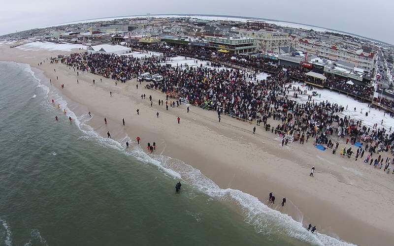 Beach View of Polar Bear Plungein