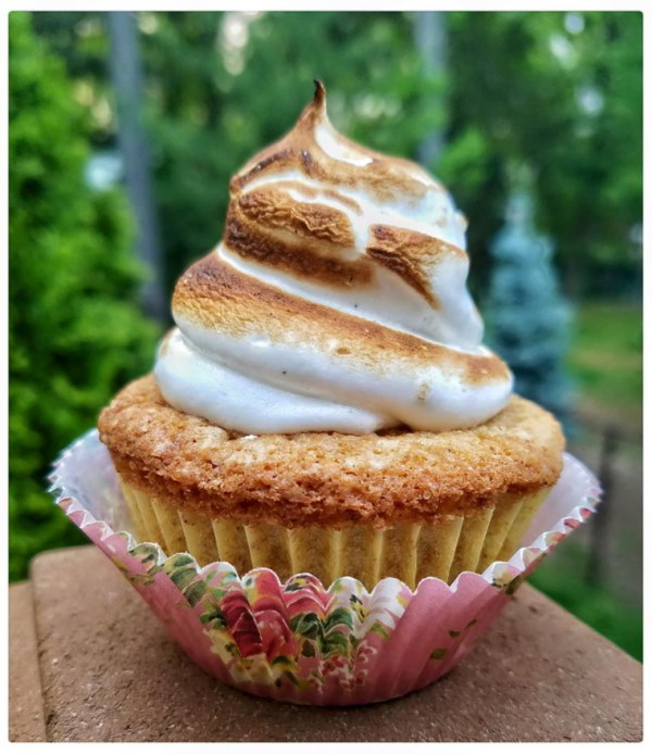 Image of a cupcake made at the Sweet Samantha custom cake design class