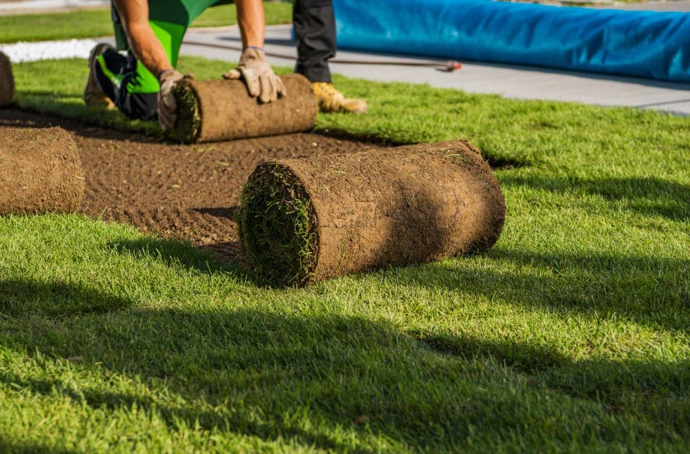 Image of sod getting intalled on a lot in NJ