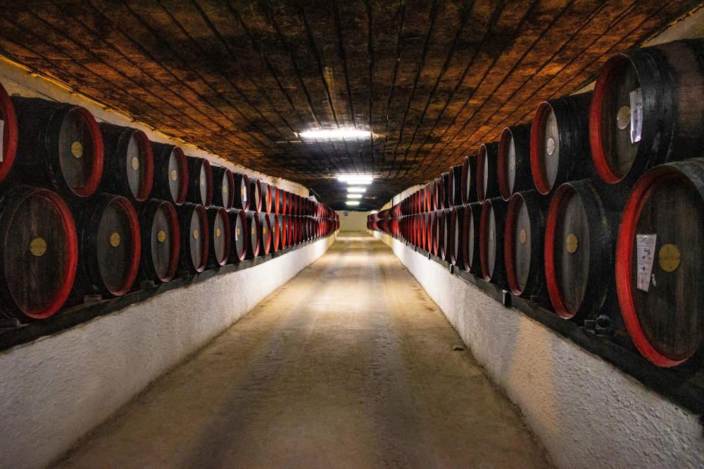 Uncover and Explore The Best NJ Winery Tours