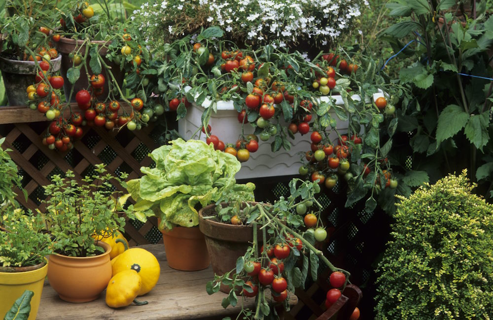 The Ultimate NJ Balcony Gardening Checklist for Small Spaces