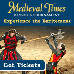 Medieval Times Fun Attraction NJ